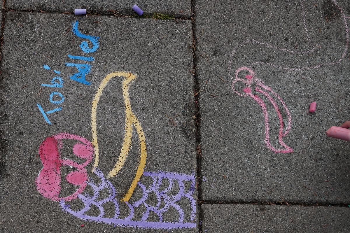 Schnecke (1)